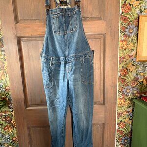 Garden overalls size xl. brand is indigo blue